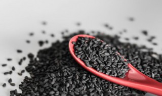 黑米黑豆黑芝麻糊的功效与作用 黑米黑豆黑芝麻糊的功效与作用与营养与价值