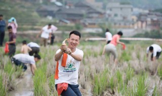 高三学生抓鱼解压是怎么回事