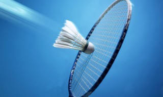 羽毛球双打比赛规则图解 羽毛球双打比赛规则