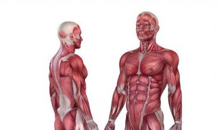 肌肉锻炼方法 颈椎肌肉锻炼方法