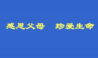 关于感恩的文章500字 关于感恩的文章