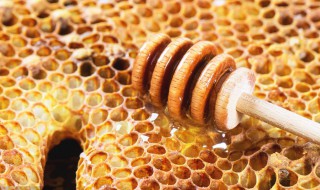 蜂胶的吃法 蜂胶的吃法与用量