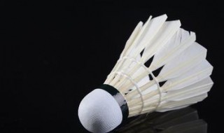 羽毛球的名字由来是什么 羽毛球的名字由来