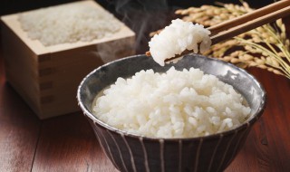 隔水蒸米饭的做法是什么 隔水蒸米饭的做法是什么呢
