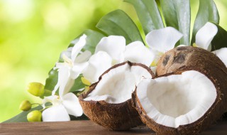 椰壳的副作用与禁忌 椰壳的副作用与禁忌