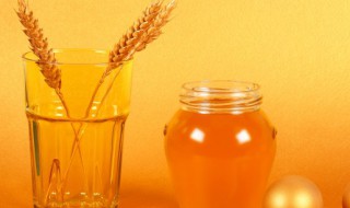 滇橄榄蜂蜜怎么做好吃 滇橄榄蜂蜜的功效与作用