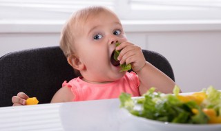 怎么做宝宝辅食蔬菜泥视频 怎么做宝宝辅食蔬菜泥