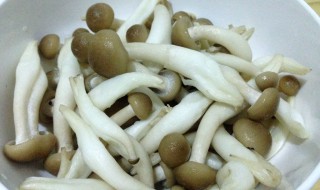 松树菇怎么做好吃又简单 松树菇怎么做