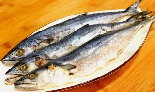 鲅鱼的营养价值 鲅鱼的营养价值及功效与作用