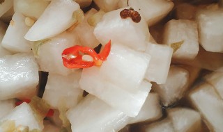 四川麻辣萝卜丁的做法窍门 麻辣萝卜丁的腌制方法川味