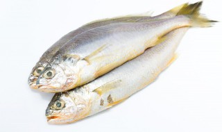 风干鱼的简单腌制方法窍门 风干鱼的简单腌制方法
