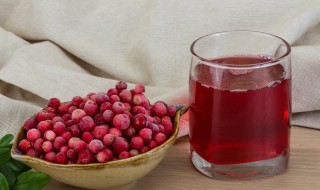 莓果汁做法窍门 莓果汁做法窍门视频