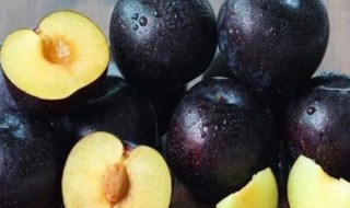 黑色的水果有哪些图片及名称 黑色的水果有哪些