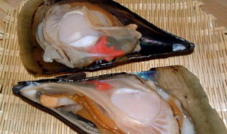 日本带子是什么海鲜 带子是什么海鲜