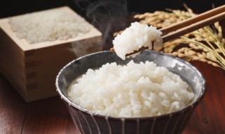 糙米饭直接蒸行吗 请问糙米直接蒸米饭可以吗