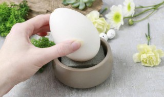 鹅蛋每天吃一个可以吗早餐 鹅蛋每天吃一个可以吗