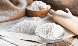 面包粉和面粉的区别 面包粉可以做馒头吗
