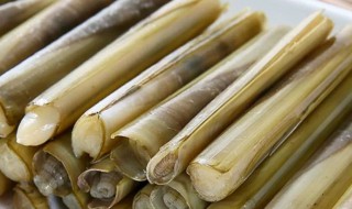 竹蛏子和普通蛏子哪个好吃 竹蛏和蛏子有什么区别