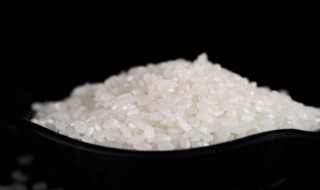梗米跟大米有什么区别吗 梗米跟大米有什么区别吗图片