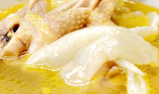 花胶鲍鱼炖鸡汤的做法大全 花胶鲍鱼煲鸡汤的做法