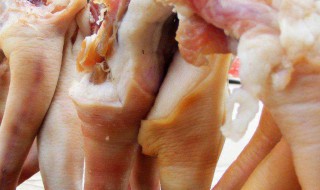 猪脊髓的功效与作用 猪脊髓的功效与作用点