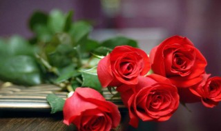 玫瑰花的别称和雅称 玫瑰的古代雅称