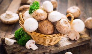花胶炖香菇的做法 花胶香菇汤