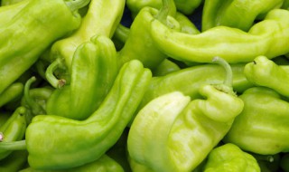 鲜青椒怎样长期保存到冬天不坏 鲜青椒怎样长期保存到冬天