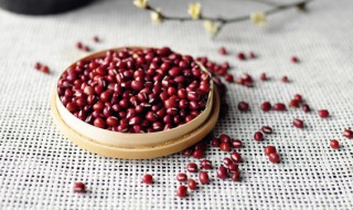 绿豆薏米赤小豆的功效与作用及食用方法 赤小豆的功效与作用及食用方法
