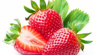 草莓的英文怎么读 草莓的英文怎么读语音