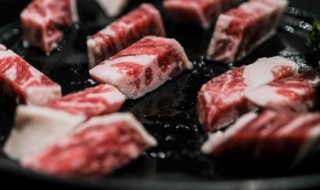 冻猪肉怎么做最好吃法大全 冻猪肉怎么做最好吃法