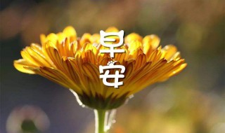 清晨祝福短信（清晨祝福短信最温馨的）