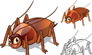 家里出现蟑螂预示什么 家里出现蟑螂怎么才能找到蟑螂窝