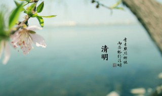 清明节文章 清明节文章800字