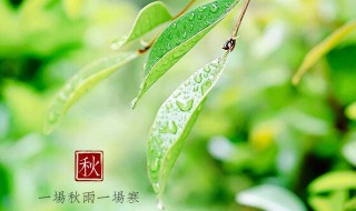 一场秋雨一场凉什么意思 一场秋雨一场凉什么意思?