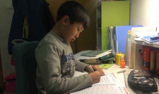 小学生读书笔记大全（小学生读书笔记大全清楚）