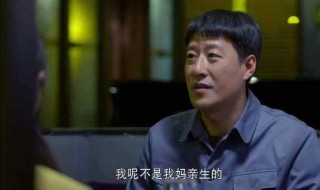 我的二哥二嫂剧情介绍（我的二哥二嫂剧情介绍分集）