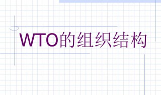 wto是哪个组织的称呼 wto属于哪个组织