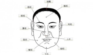 天庭饱满地阁方圆意思