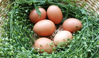 三月三煮鸡蛋放什么中药 三月三煮鸡蛋是用什么草