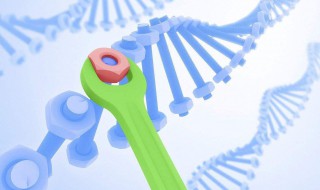 基因工程原理 基因工程原理是什么