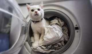 衣服能经常用洗衣机洗吗（衣服能经常用洗衣机洗吗女生）