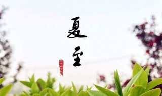 夏至日时间（夏至日时间为）