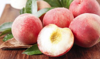 水蜜桃和毛桃的区别 永莲蜜桃品种简介