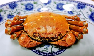 海螃蟹蒸多久最佳 海螃蟹蒸多久最佳时间,从放锅里算还是水开算时间