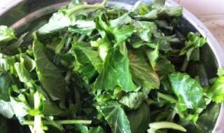 干苔菜怎么做好吃视频教程 干苔菜怎么做好吃