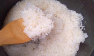 电饭煲蒸米饭多长时间 苏泊尔电饭煲蒸米饭多长时间