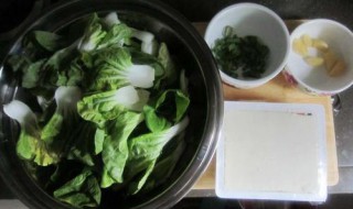 家常青菜炖豆腐 儿童青菜炖豆腐的做法和配方