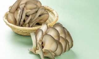 清炒平菇怎么做好吃窍门 清炒平菇的做法和配方