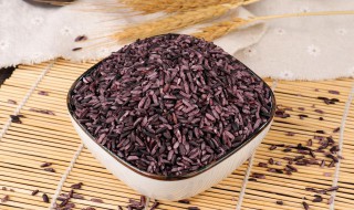 紫米蛋糕的做法和配方 紫米蛋糕的做法和配方大全